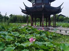 -苏州吴中太湖旅游区