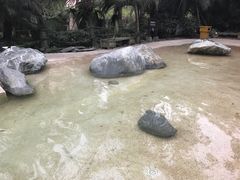 -鱼凫国都大酒店温泉