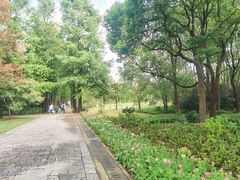-上海滨江森林公园