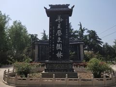 -东方巨龟苑景区