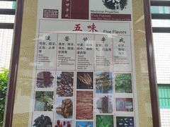 -广州神农草堂中医药博物馆