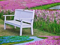 -花开海上生态园