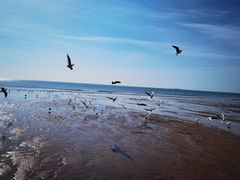 -青岛石老人海水浴场