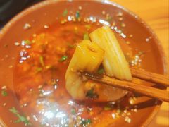 -阳阳老火锅(小南门店)