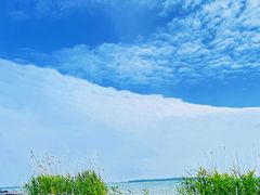 -苏州湾体育公园