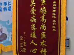 -瑞鹏宠物医院·骨外科·心肾科·肿瘤科(九亭店)