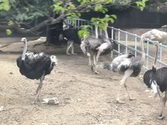 -西安秦岭野生动物园