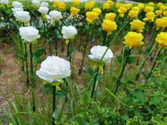 -南山图书馆(常兴路店)