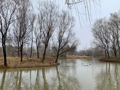 -西安浐灞国家湿地公园