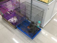 -米卢宠物公园(广华居店)