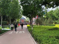 -雁滩公园