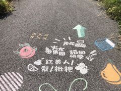 -菊园百果园