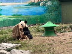 -上海野生动物园