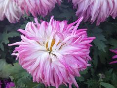 -共青国家森林公园-南大门停车场