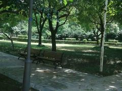 android_upload_pic-蠡湖中央公园