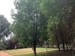 -长春公园(普阳街道)