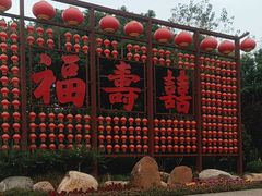 -合肥滨湖国家森林公园