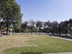 -新江湾城公园