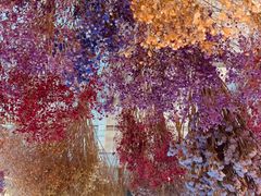 -花十悦·鲜花咖啡餐厅(振业城一期店)