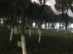 -重庆市江北嘴中央商务区中央公园