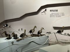 -武汉园博园(武汉自然博物馆)