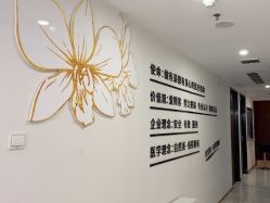 -洁铭新加坡医美