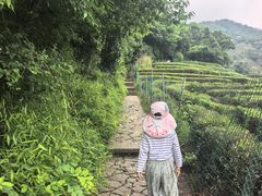 -十里琅珰