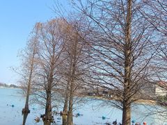 -星巴克(迪士尼小镇店)