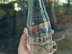 -黄海国家森林公园