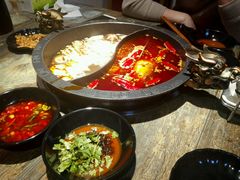 -销魂美蛙鱼头火锅(上海首店)