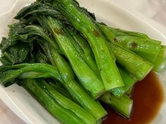 白灼油菜心-君海悦酒楼