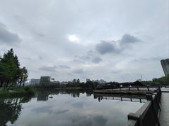 -洋湖国家湿地公园