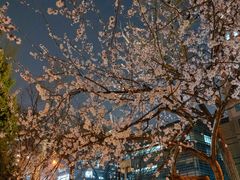 -安定门(地铁站)