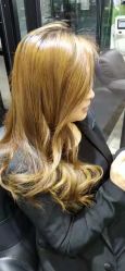 -风向标WIND VANE SALON