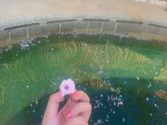 -大连金石滩绿发温泉假日酒店