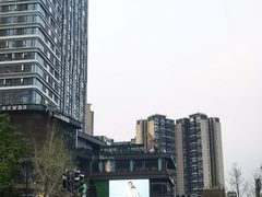 -合景·悠方(成都店)