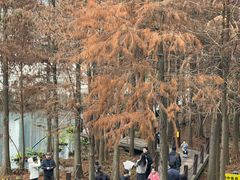 -重庆彩云湖湿地公园