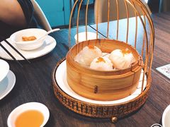 -鹊玥·粤菜小馆(汇智国际商业中心店)
