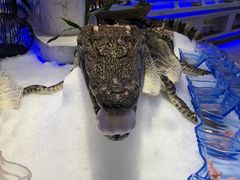 -澜悦港海鲜体验主题餐厅