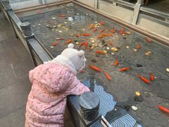 -四季民福烤鸭店(前门店)