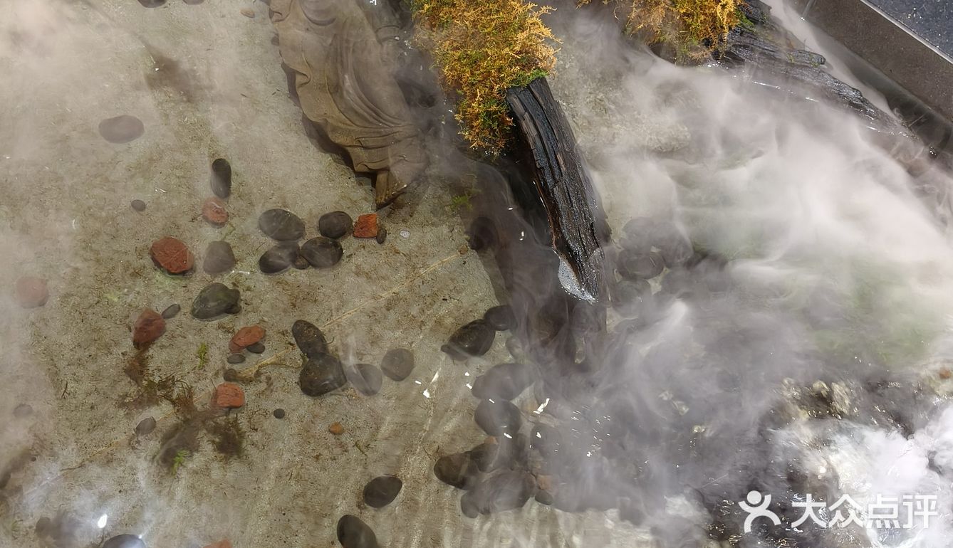 这鮰鱼吃了，终生难忘，鱼皮敲敲敲软糯😋