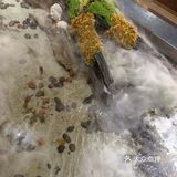 这鮰鱼吃了，终生难忘，鱼皮敲敲敲软糯😋