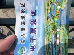 -南大港湿地风景区