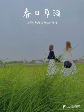 让你落入春日梦境的 草海  石臼湖这边绿色的草海