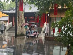 -灵谷景区