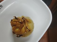 -小杨生煎(白玉兰广场店)