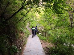 -狼牙山风景区