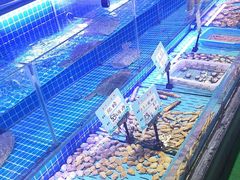 -海旺小海鲜大排档(冠亚星城店)