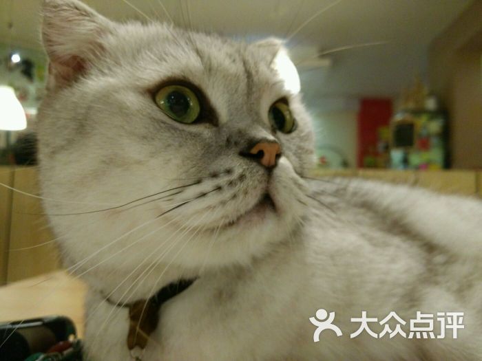 草泥马不是我上传的图片