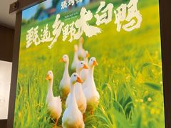 -张烤鸭·川菜·非遗冒烤鸭(青石桥店)